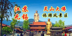 免费日逼的视频江苏无锡灵山大佛旅游风景区